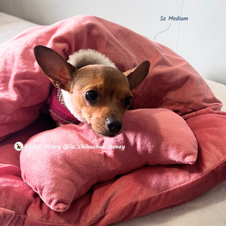 Cat Ear Sleeping Bag