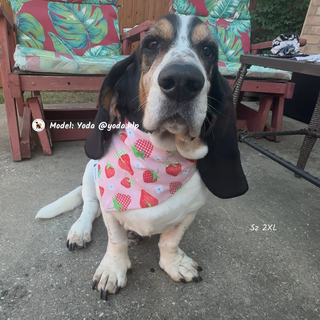 "Sweet Strawberry" Scrunchie Bandana