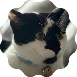 Milo♂