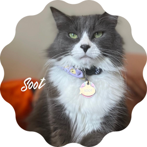 Soot♀