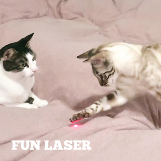 3-in-1 Retractable Wand Toy