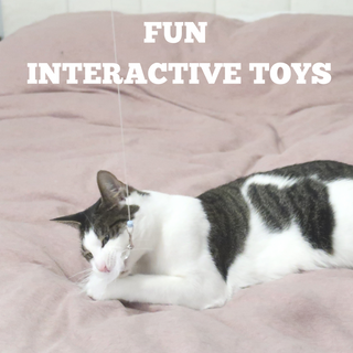 3-in-1 Retractable Wand Toy