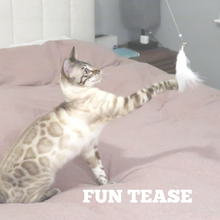 3-in-1 Retractable Wand Toy