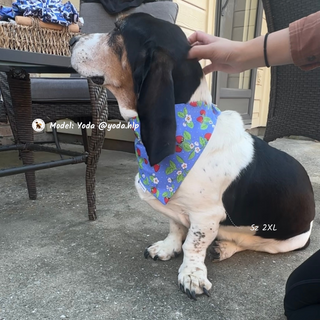 "Strawberry Vine" Scrunchie Bandana