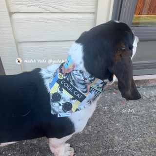 "Royal Friends" Scrunchie Bandana