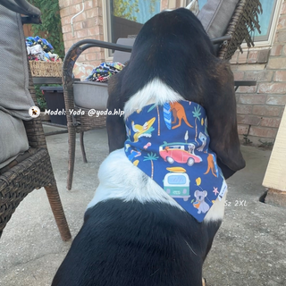 "Beach Zoo Day" Scrunchie Bandana