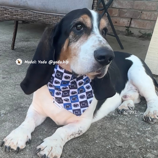 "PSU Lion" Scrunchie Bandana