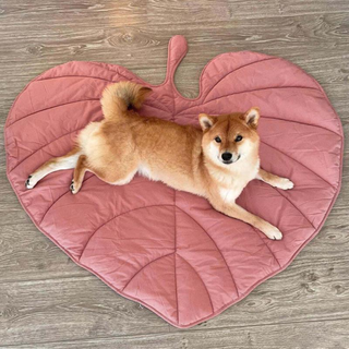 Pink Heart Leaf Mat