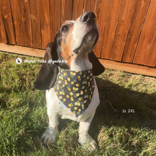 "Black Lemon" Scrunchie Bandana