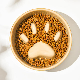 "Give Me Paw" Slow Feed Bowl