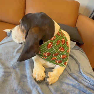 "Game On" Scrunchie Bandana