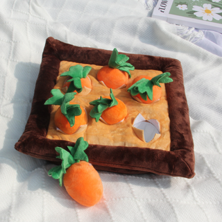 Carrot Square Field Toy