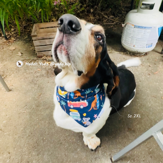 "Beach Zoo Day" Scrunchie Bandana