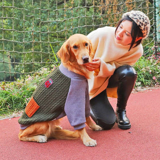 Color-Block Sweatshirt