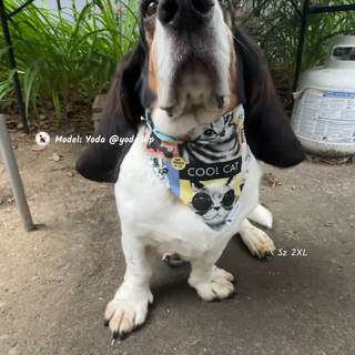 "Royal Friends" Scrunchie Bandana