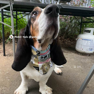 "Loyal Friend" Scrunchie Bandana